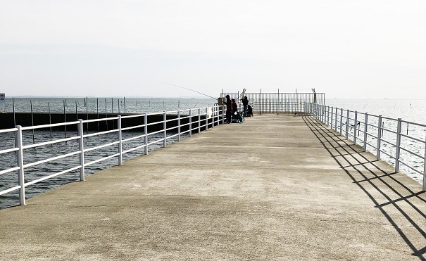 ふなばし三番瀬海浜公園の釣り場のイメージ（堤防の先）